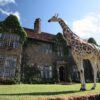 Kenya-Nairobi<br> Hotel Giraffe Manor 5* </br>