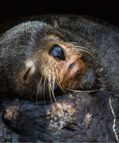 Ecuador – Galapagos <br> Hotel Finch Bay Galapagos 5* </br>
