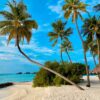 Maldive -South Male Atoll  <br>  Hotel Ozen Life Maadhoo 5* </br>