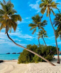 Maldive -South Male Atoll  <br>  Hotel Ozen Life Maadhoo 5* </br>