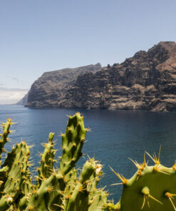 Spania  - Tenerife  <br>  Hotel Red Level at Gran Melia Palacio de Isora 5* </br>