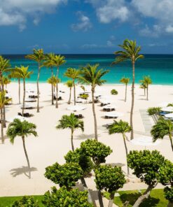 Alternative view of Aruba - Palm-Eagle Beach <br>  Hotel Bucuti & Tara Boutique Beach Resort 4* </br>
